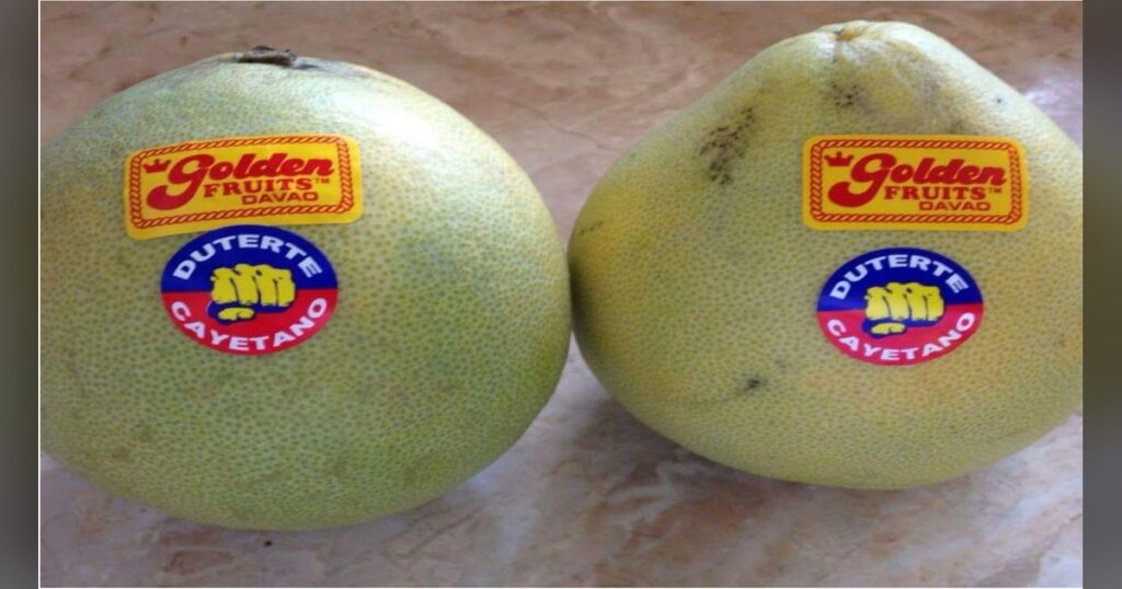 Two pomelos at a fruit stand with Duterte-Cayetano campaign stickers placed on their Golden Fruits labels.